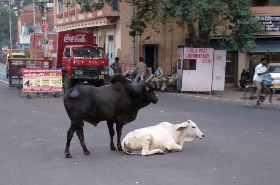 Delightful Private Day City Tour from Delhi to Agra