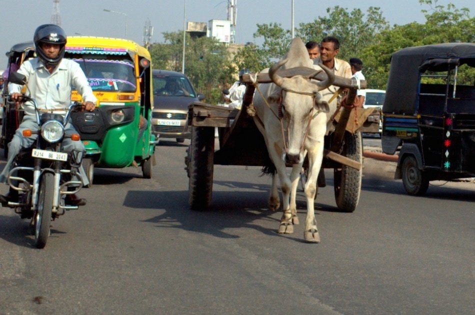 Delightful Private Day City Tour from Delhi to Agra