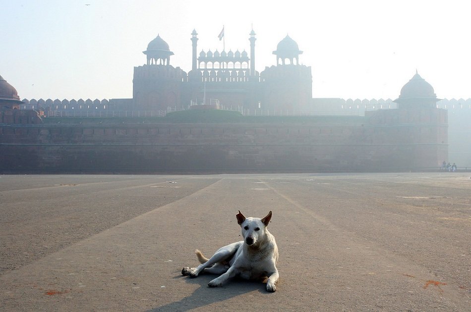 Explore the Rich Heritage of India in 5 Days