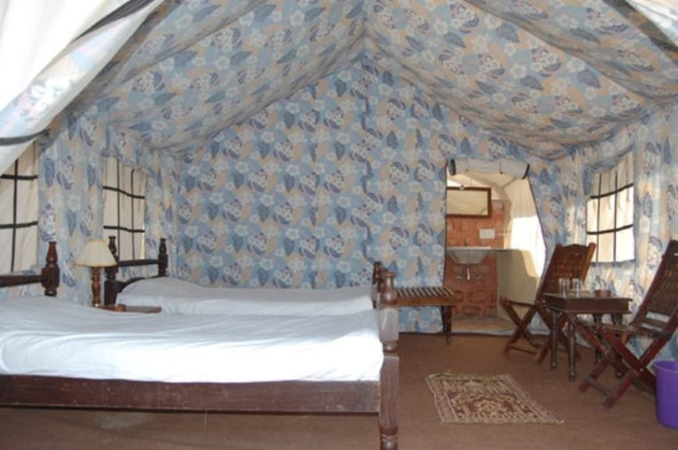 Overnight Stay In Swiss Tent With Camel Safari & Folk Dance