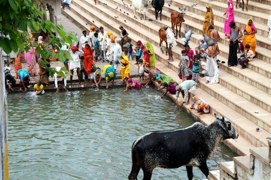 Private Day Tour Of Ajmer And Pushkar By Car from Jaipur