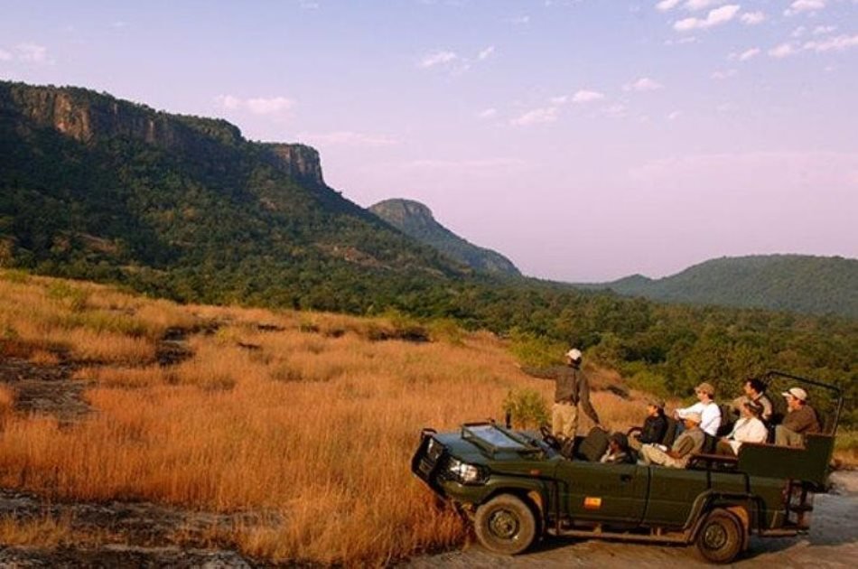 Private Day Tour Of Kumbhalgarh Fort & Wildlife Sanctuary From Udaipur
