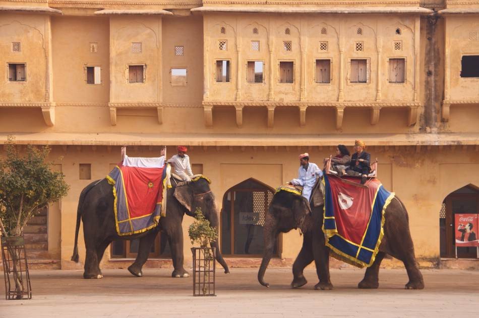 Private Rajasthan 10 Day Honeymoon Tour from Delhi