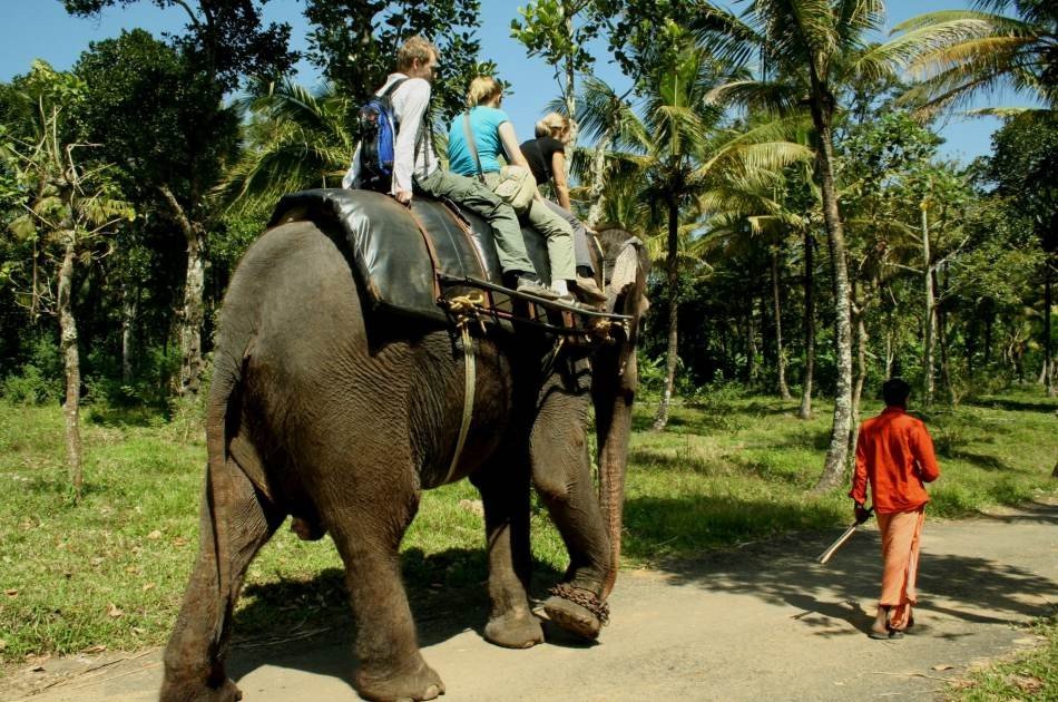 Private Rajasthan 10 Day Honeymoon Tour from Delhi