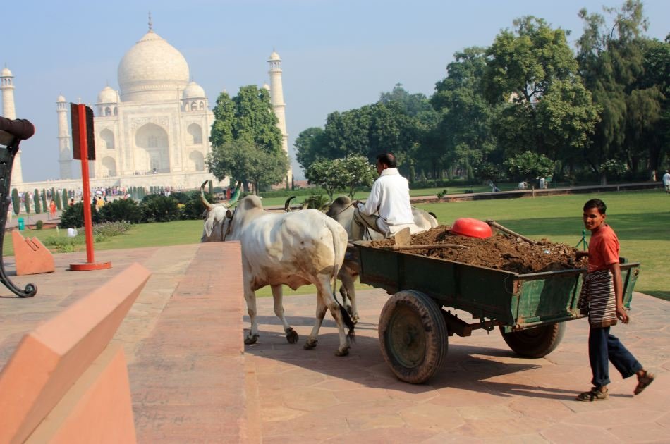 Same Day Taj Mahal Tour From Delhi by Car
