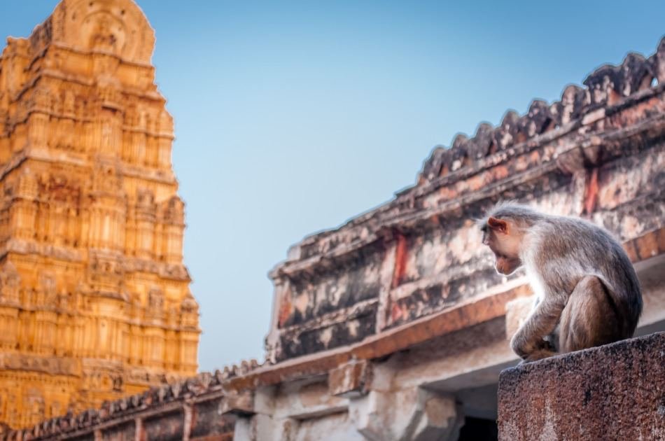 Unforgettable 11 Day Guided Tour of India