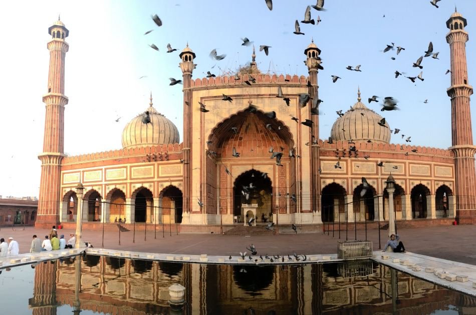 Unforgettable 11 Day Guided Tour of India