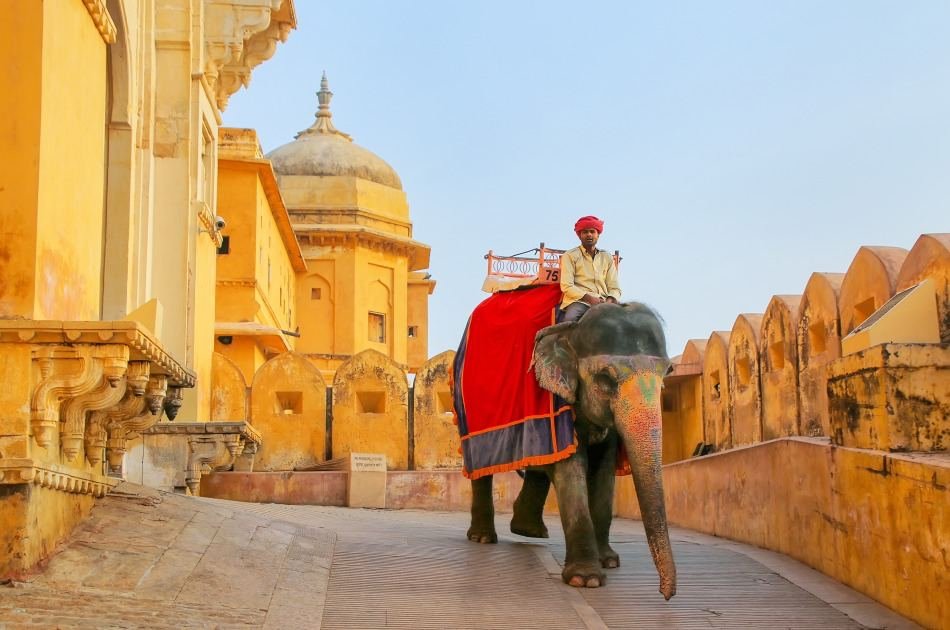 Unforgettable 11 Day Guided Tour of India