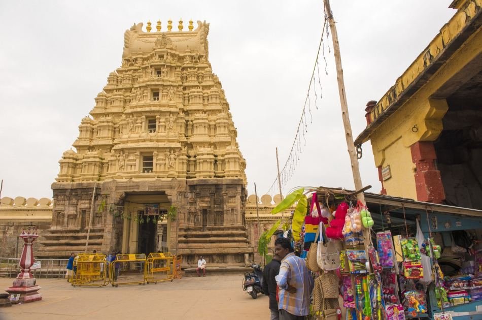 Unforgettable 11 Day Guided Tour of India