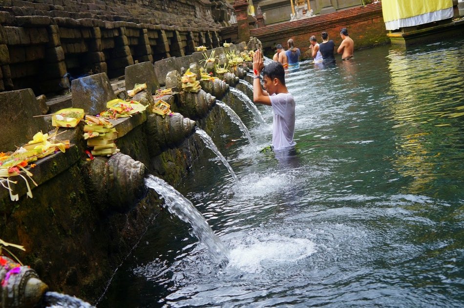 Bali Dolphin Watching Cruise, Culture & Ubud Private Tour