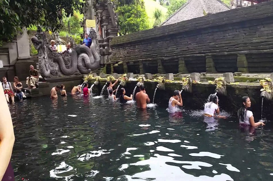 Bali Dolphin Watching Cruise, Culture & Ubud Private Tour