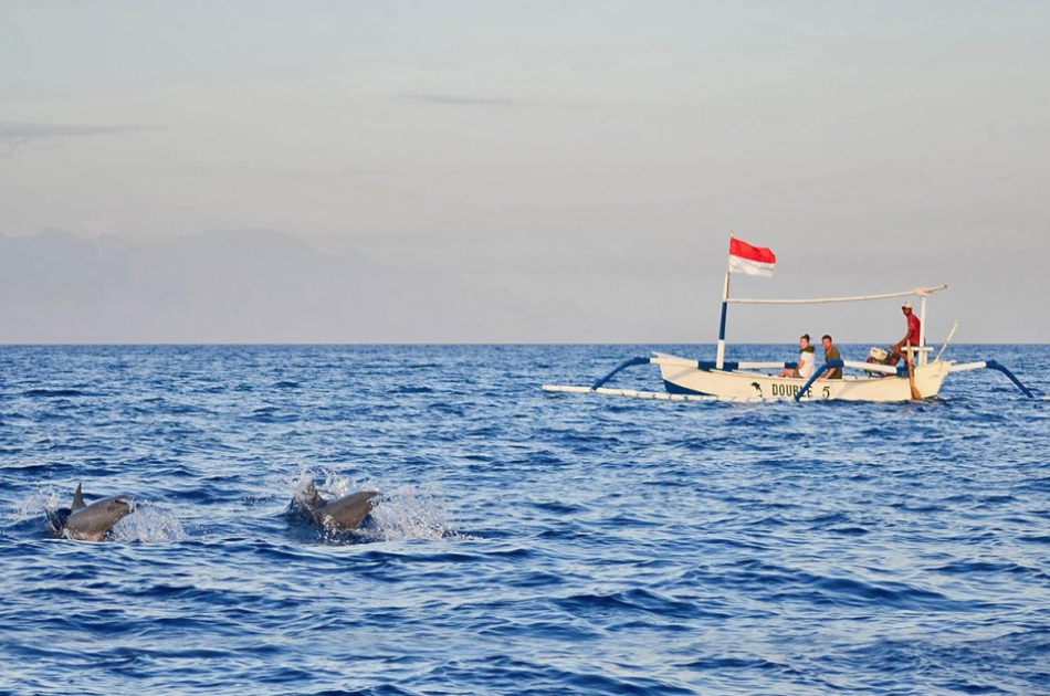 Bali Lovina Dolphin Tour