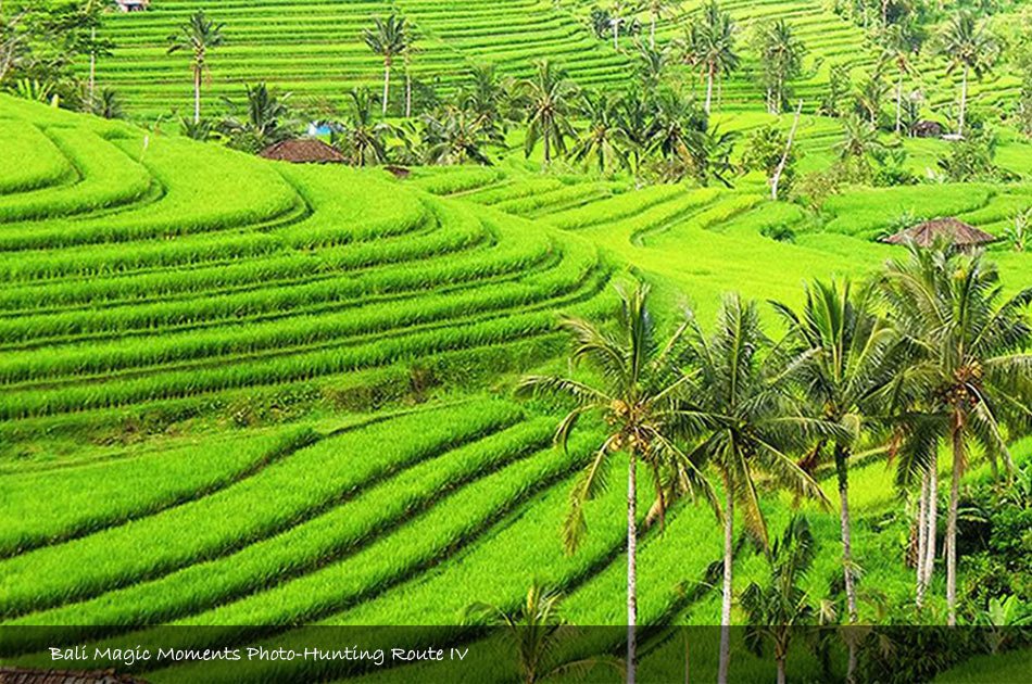 Bali Photography Full Day Tour (Zone 4)