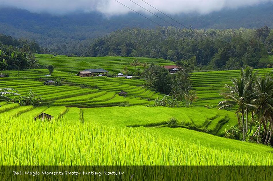 Bali Photography Full Day Tour (Zone 4)