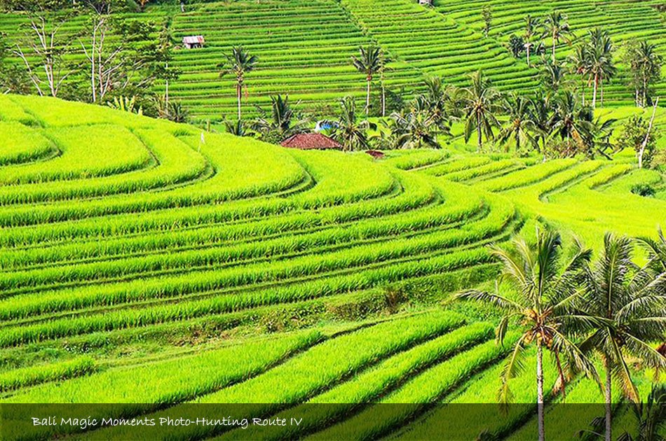Bali Photography Full Day Tour (Zone 4)