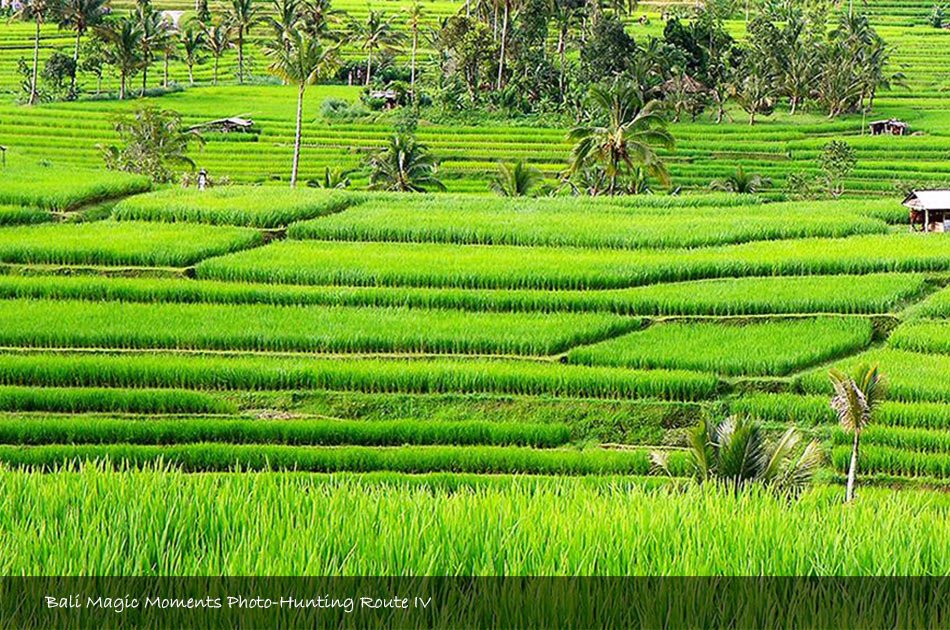 Bali Photography Full Day Tour (Zone 4)