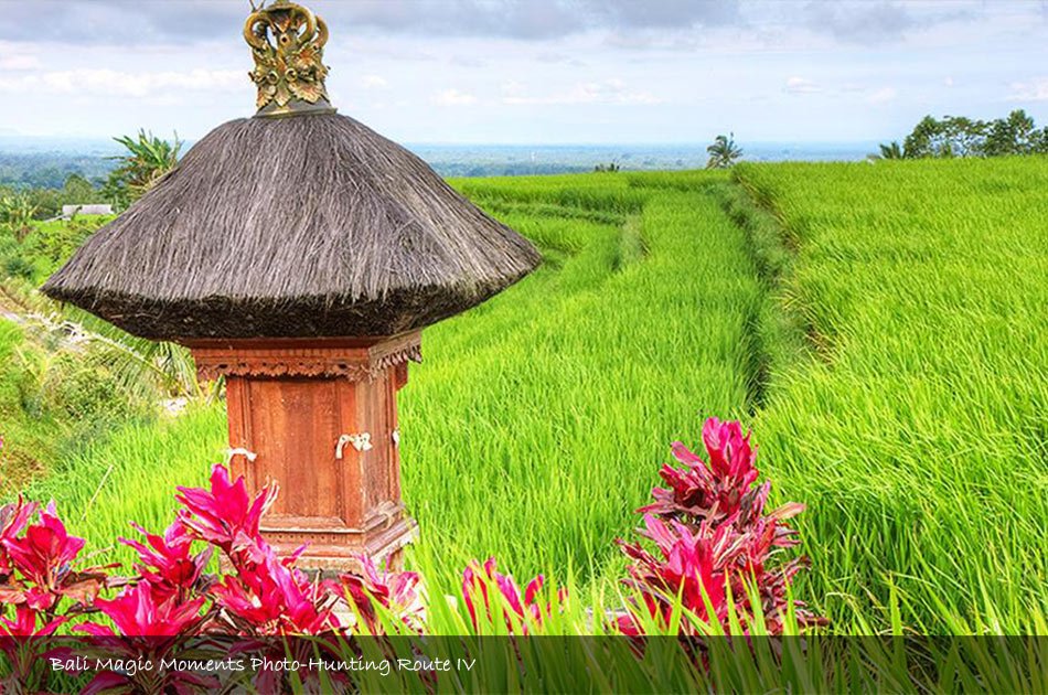 Bali Photography Full Day Tour (Zone 4)