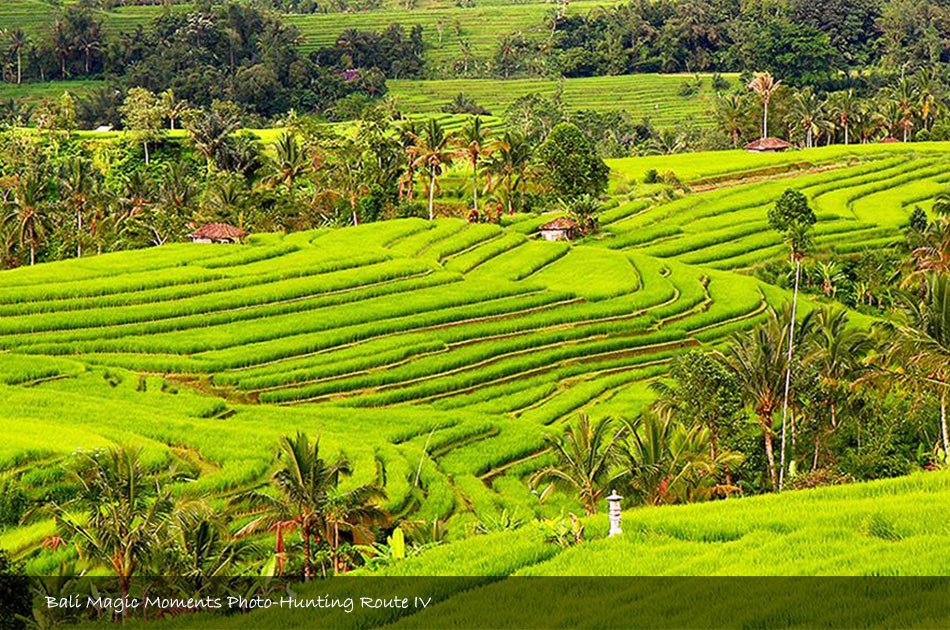 Bali Photography Full Day Tour (Zone 4)