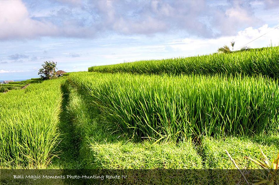 Bali Photography Full Day Tour (Zone 4)