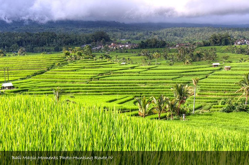 Bali Photography Full Day Tour (Zone 4)