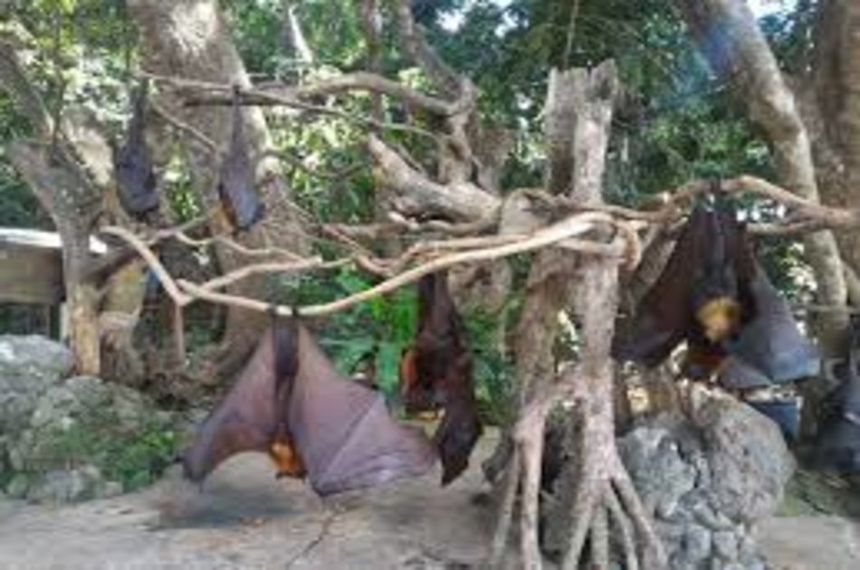 Beautiful Bali Half Day Tanah Lot Tour