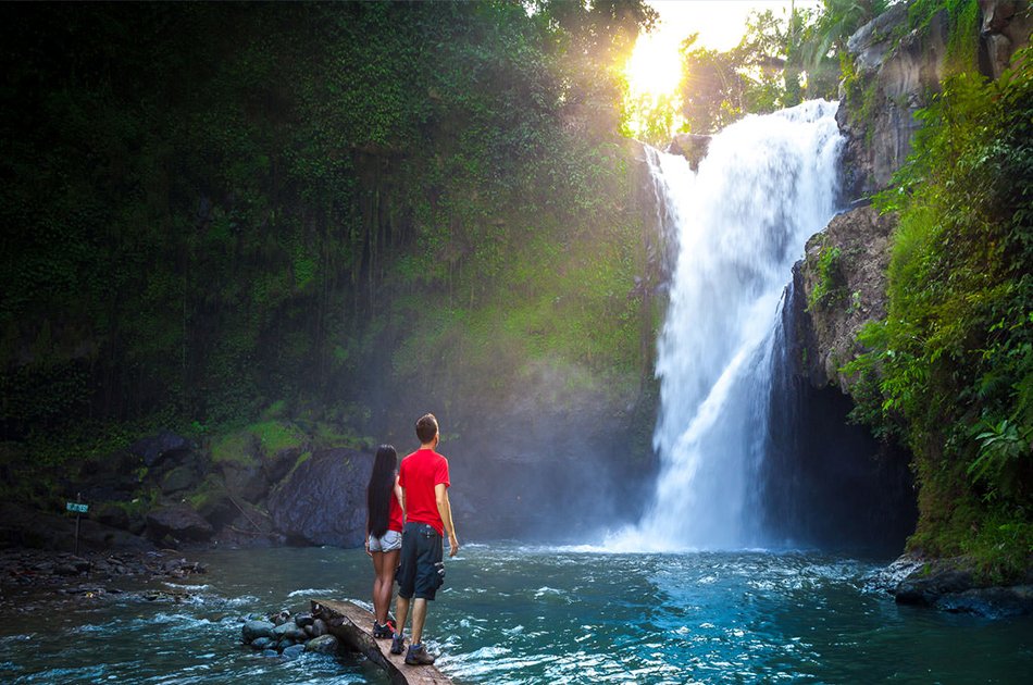 Best of Ubud Private Full-Day Tour: Waterfall, Rice Terraces, Art Villages