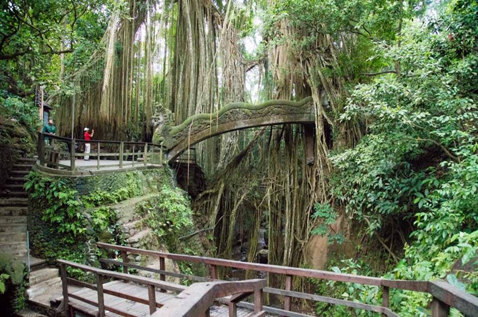 Best of Ubud with Tanah Lot Sunset Private Tour