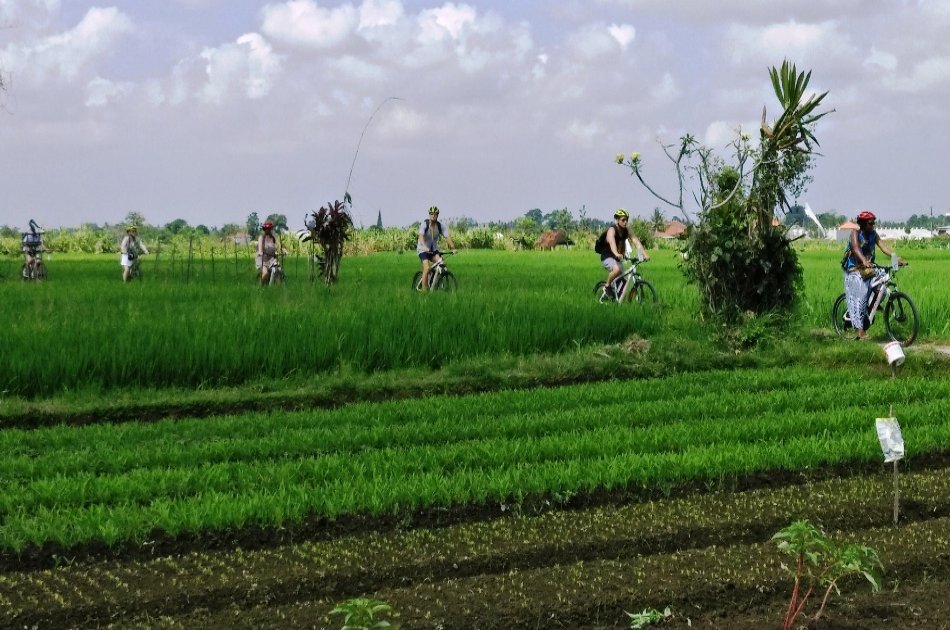 Cycling Tour Through South Ubud Nature and Villages