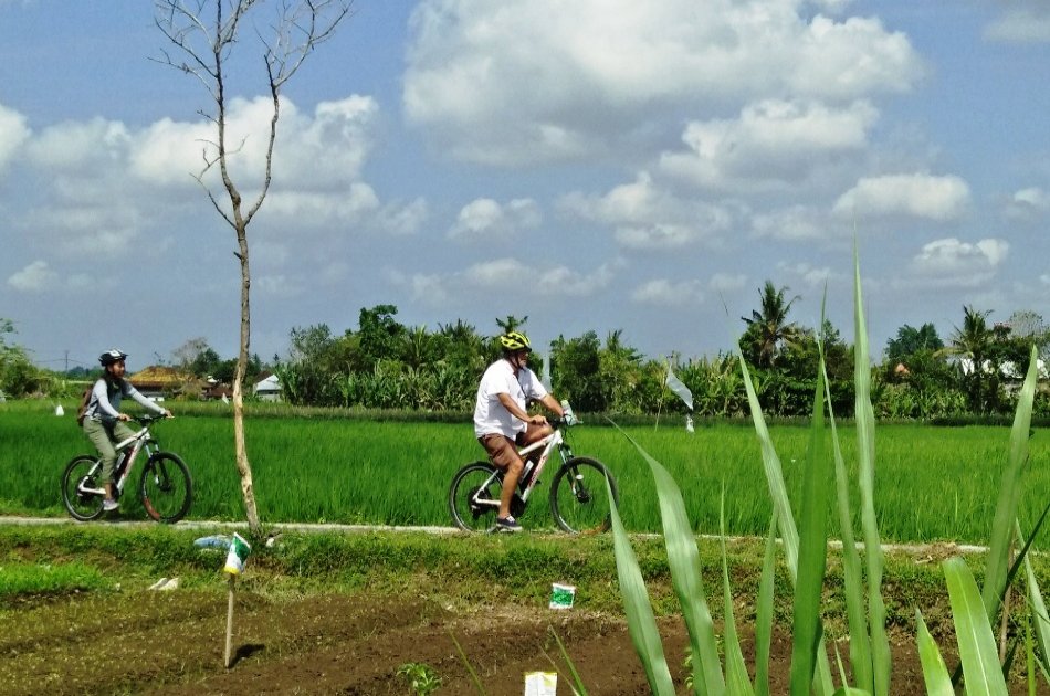 Cycling Tour Through South Ubud Nature and Villages