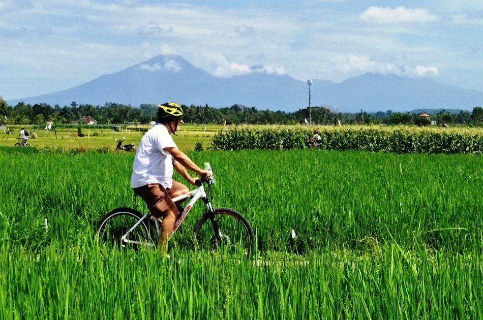 Cycling Tour Through South Ubud Nature and Villages
