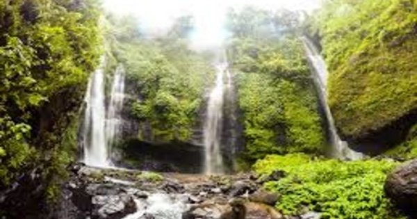 Discover the beauty of North Bali on a Full Day Tour
