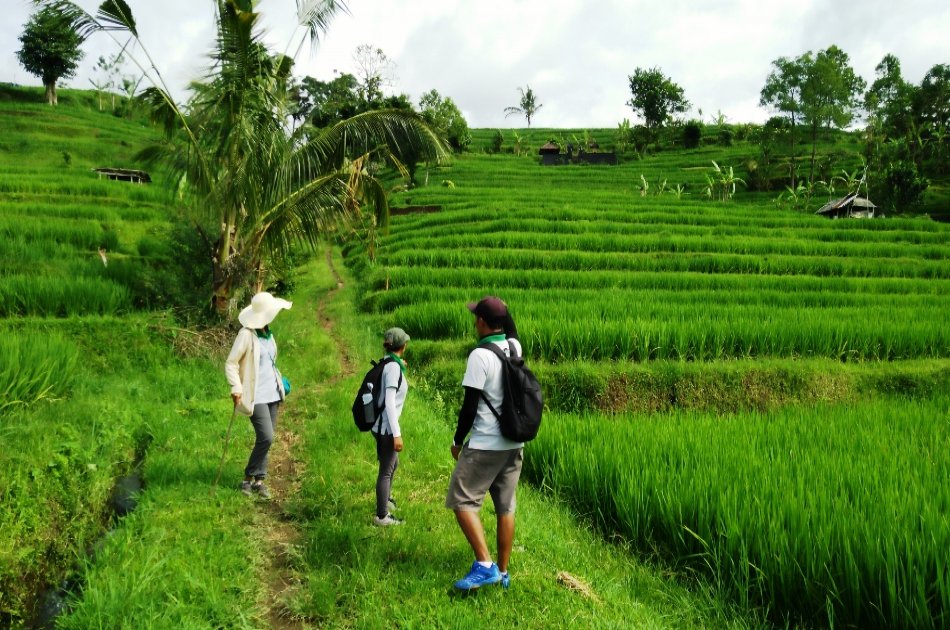 Exciting Ebike Cycling Tour, Jatiluwih Bali