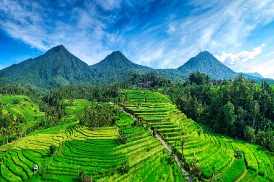 Exciting Ebike Cycling Tour, Jatiluwih Bali