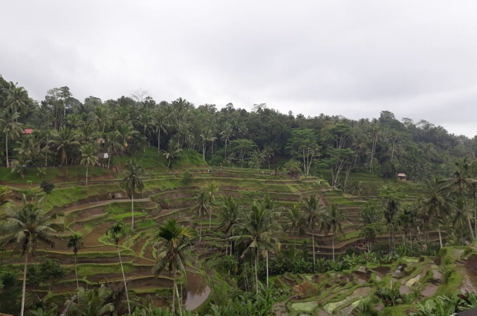 Fun Day Ubud Rafting and Kintamani Volcano Tours