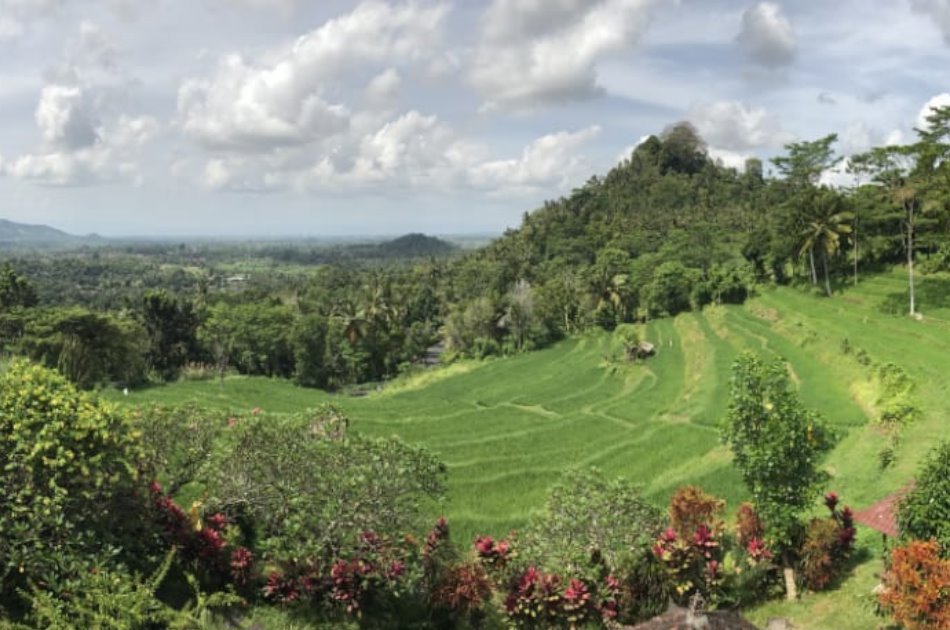 Fun Day Ubud Rafting and Kintamani Volcano Tours