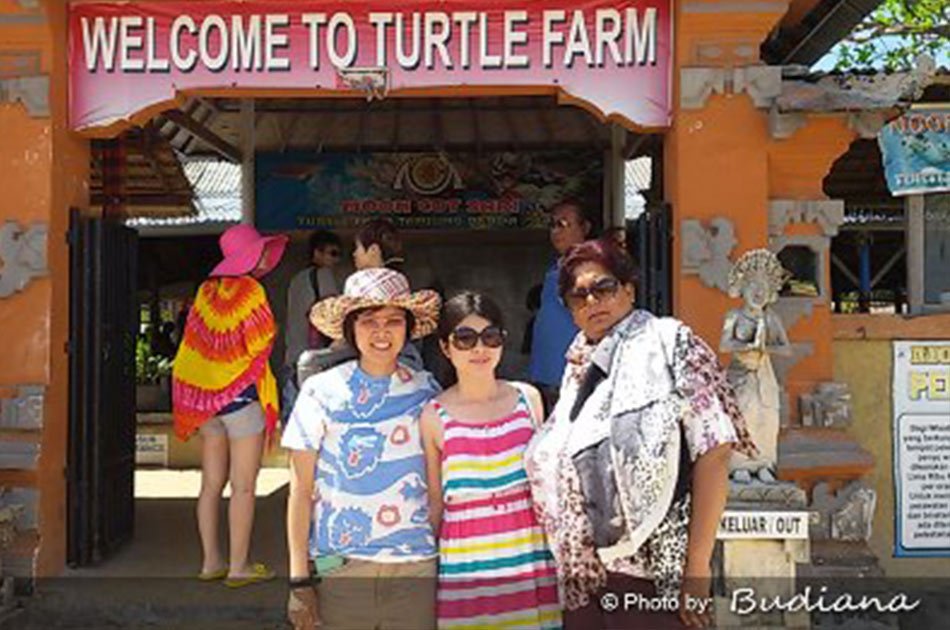 Half Day 3 in 1 - Parasailing, Turtle Conservation Island and Glass Bottomed Boat Nusa Dua Tour