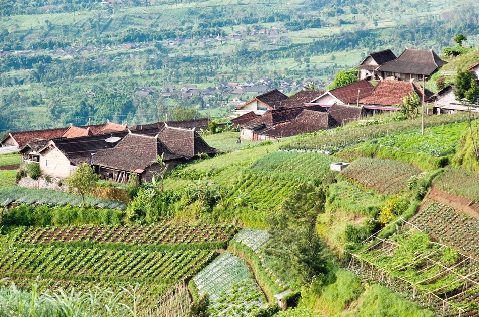Hiking to Mt. Merapi Slopes from Yogyakarta