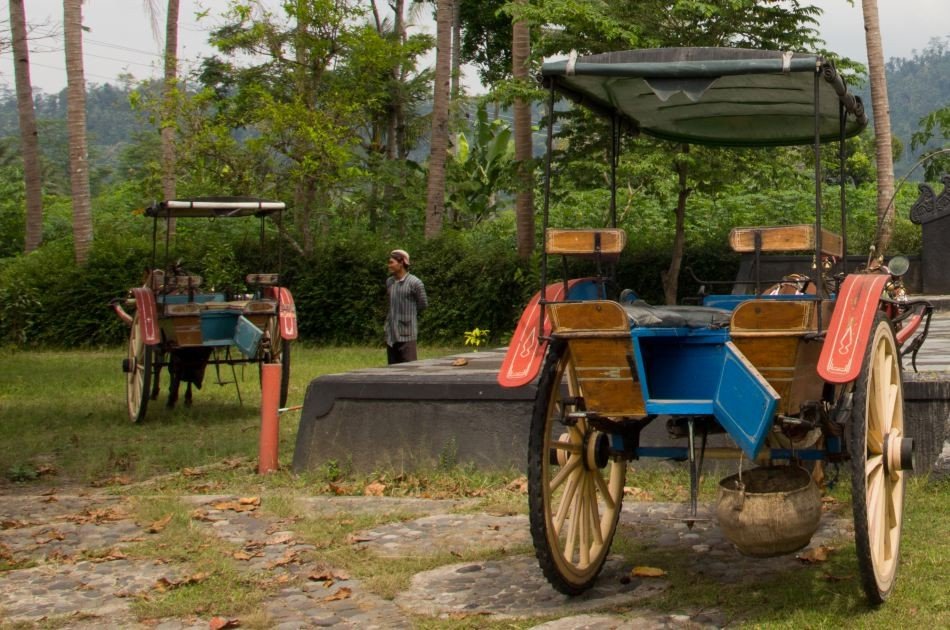 Horse Carriage Village Tours in Borobudur, Yogyakarta