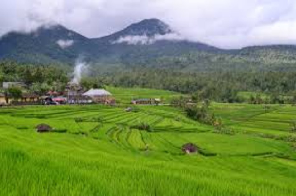 Jati Luwih and Tanah Lot Tour in Bali