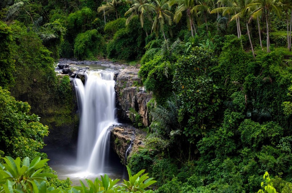 Kintamani, Ubud  & Tegenungan Waterfall Private Tour