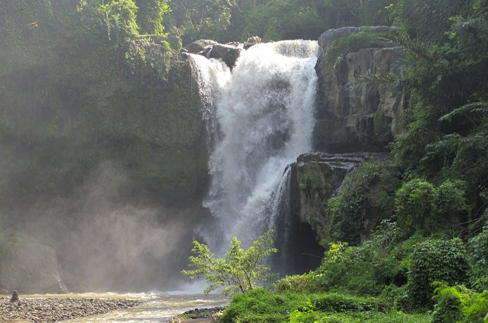 Kintamani, Ubud  & Tegenungan Waterfall Private Tour