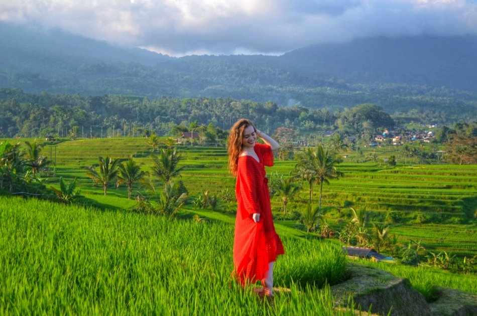 Northen Bali Highlights Private Tour