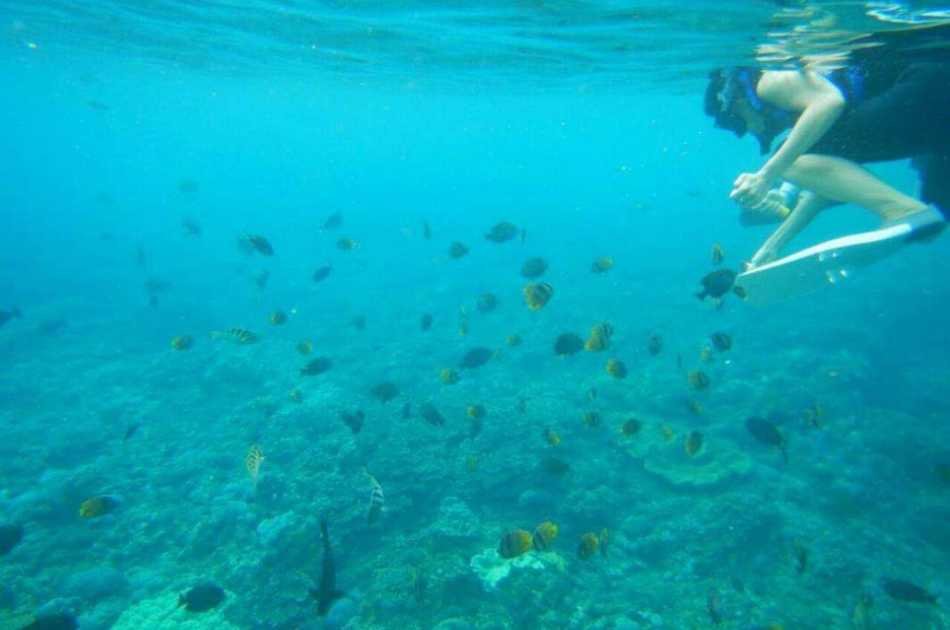 Private Charter Fishing and Snorkelling Boat Trip in Bali