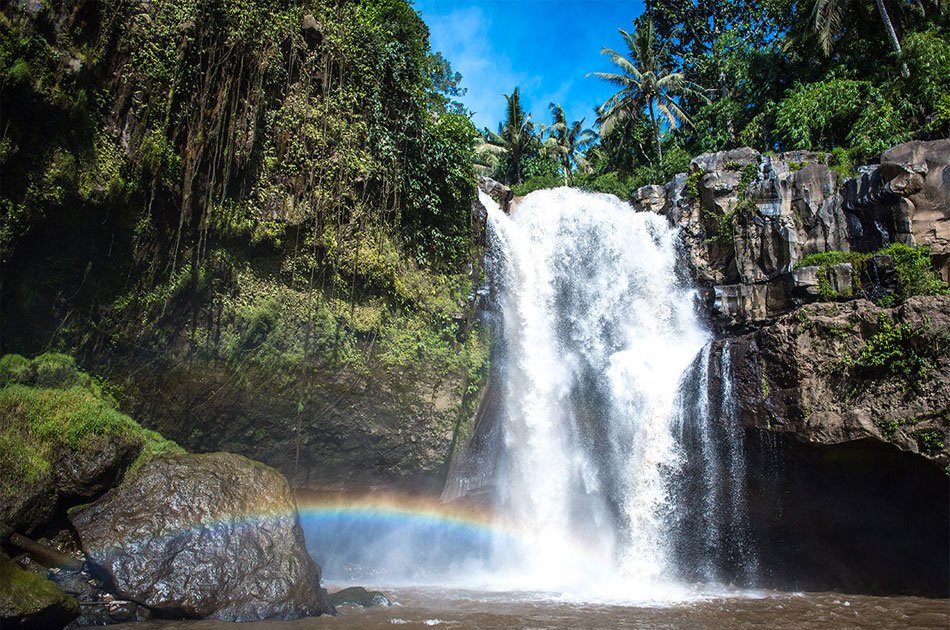 Private Tour: Waterfall in Ubud Full-Day Tour