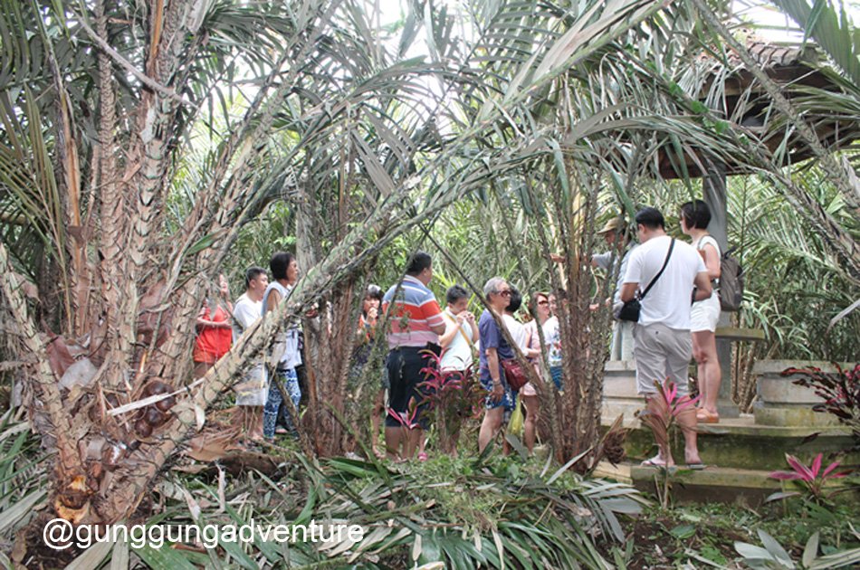 Salak Agro Bali Jeep Village Trail Culture Adventure