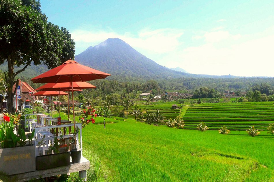 See Amazing Water Temples on Private Bali Day Tour
