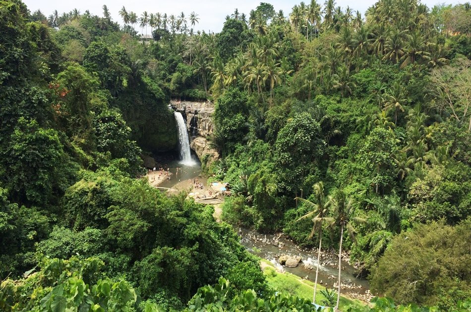 Ubud Private sightseeing tour with Lunch