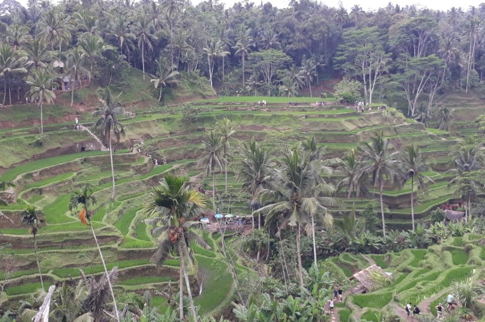 Ubud Sightseeing  Full Day Tour