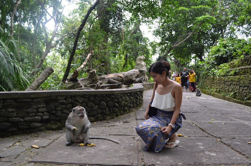 Ubud Tour with Private Car and Tour Driver