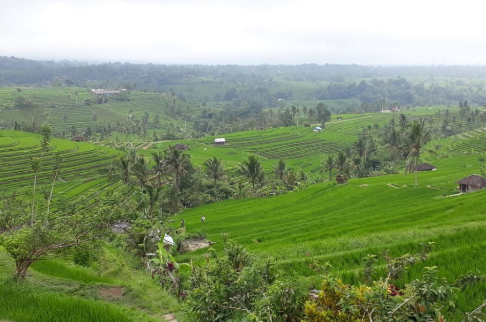 UNESCO Heritage Full Day Trip in Bali